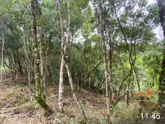 Imagem Terreno a venda no Bairro Atalaia em Campos do Jordão-SP