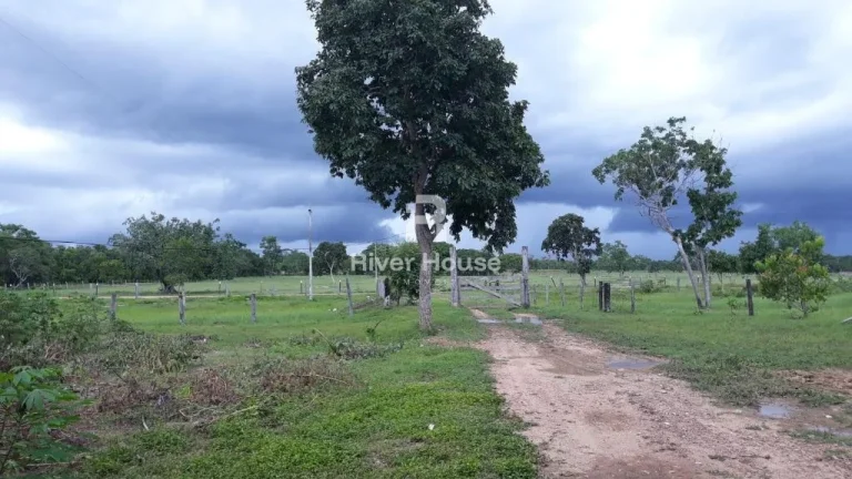 Imagem Sitio a venda Encantadora propriedade rural à venda no Acentamento 21 de Abril, Cuiabá
