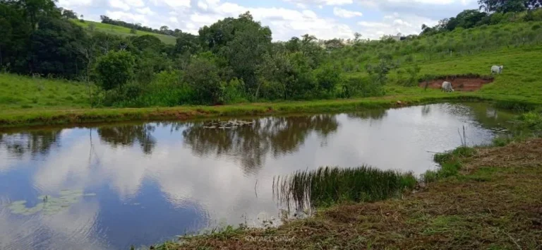 Imagem Sítio à venda no bairro Canedos - Piracaia/SP