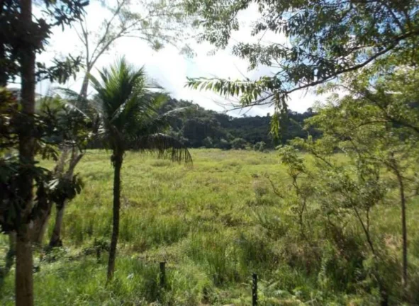 Imagem Sítio de 146.250,00 m² à venda em Sítio Mãe E Filho - SP, bairro Cachoeirinha: uma oportunidade única!