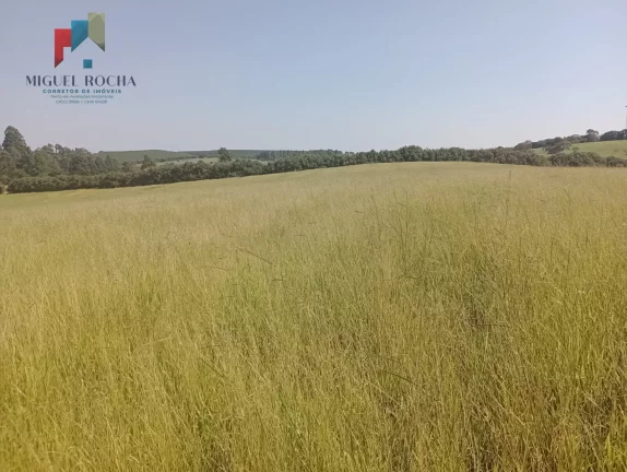 Imagem Fazenda Região Botucatu SP