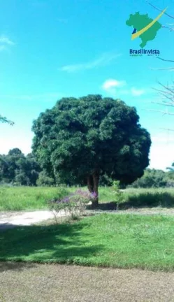 Imagem FAZENDA EM TRANCOSO