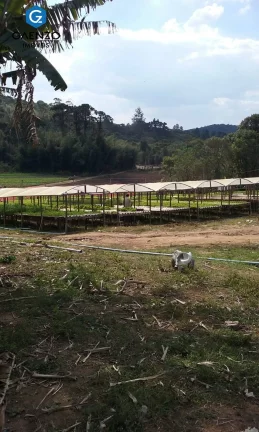 Imagem Sitio para loteamento (parceria)