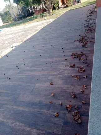 Imagem Chácara com 3 dormitórios à venda, 2400 m² por R$ 1.345.000,00 - Chácaras Duchen - Suzano/SP