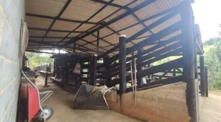 Imagem Fazenda em Macaé - RJ, Área rural