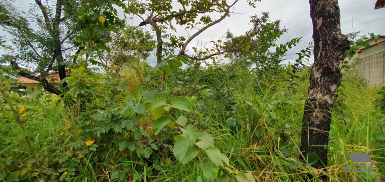 Imagem TERRENO RESIDENCIAL em ESMERALDAS - MG, FERNÃO DIAS