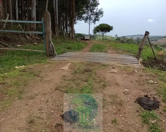 Imagem Sítio 20 ha ou 8,26 alq. a venda, para café, gado Jacui Sul de Minas Gerais