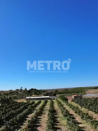 Imagem Área Beira de Rio à venda com 34ha, casa, 2 tanques criação de peixes, Petrolina