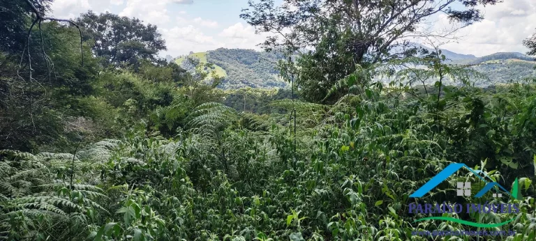 Imagem Paraíso Ecológico: Terreno com Nascente Própria e Vista para as Montanhas.