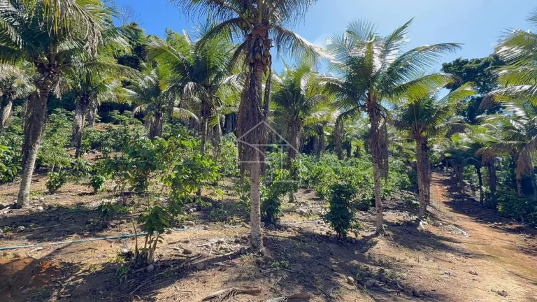 Imagem Sítio com Casa à venda, 100.614,00 m², Timbuí - Fundão/ES