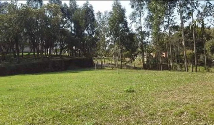 Imagem Chácara para Venda em Quitandinha, Rio da Várzea
