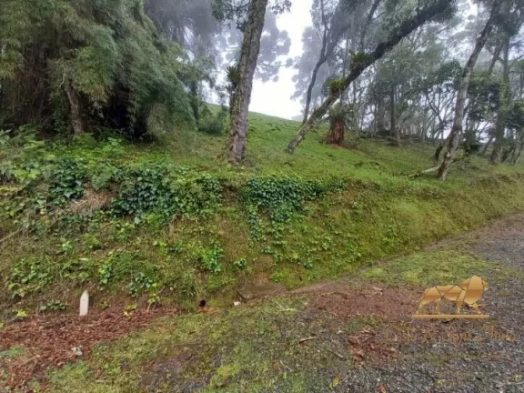 Imagem Terreno à venda em Campos do Jordão de R$690mil por R$550mil.