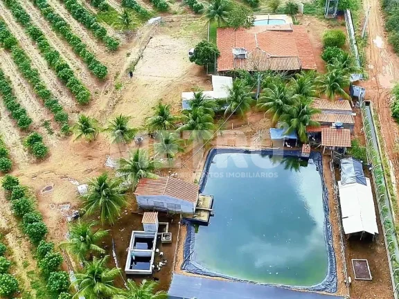 Imagem Fazenda produtiva de mangas à venda com 12,5 ha, PETROLINA - PE