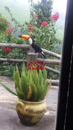 Imagem VENDE HOTEL FAZENDA EM SANTO ANTÔNIO DO PINHAL - SP