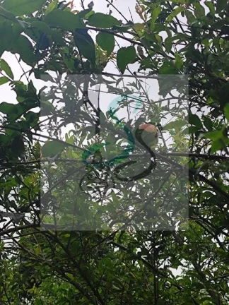 Imagem Venda de Chácara em Videiras de Itaici, Indaiatuba. Chácara com aproximadamente 1080 m² sendo 300 m² de construção, documentação regularizada.