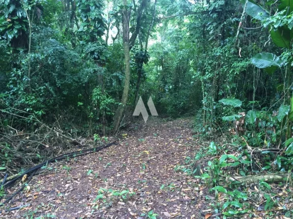 Imagem Sítio à Venda em Itariri, SP