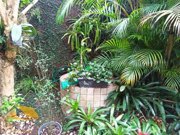 Imagem Vendo casa de alto padrão no Cônego, com 6 quartos