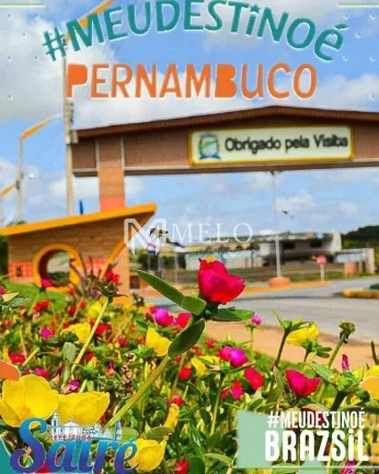 Imagem Linda chácara na area rual de Sairé ! Mobiliado!..