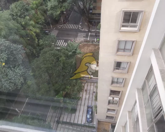 Imagem APARTAMENTO ALTO PADRÃO JARDIM PAULISTA FRENTE AO PQ. TRIANON 1 POR ANDAR 303,00 M ÁREA ÚTIL SALA 5 AMBIENTES SUÍTE MASTER 1 SALA DE JANTAR 3 VAGAS