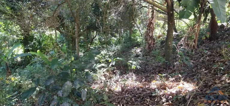Imagem Terreno com 30.958m2, à venda em Buenos Aires - Guarapari/ES