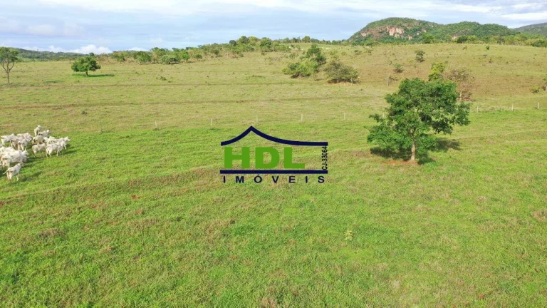 Imagem Fazenda Top de 165 Alqs em Padre Bernardo GO