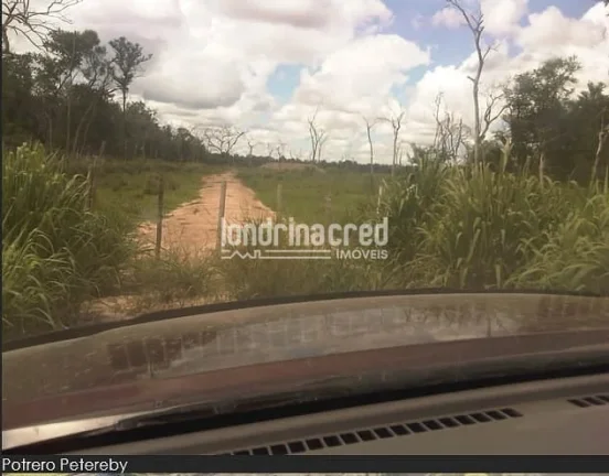 Imagem Fazenda à Venda no Paraguai por 900 dólares por hectare com Alto Potencial Pecuário