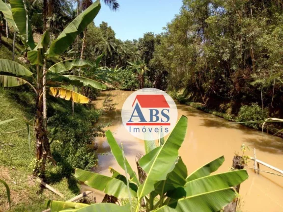 Sítio com 3 dormitórios à venda, 32800 m² por R$ 350.000,00 - Área Rural - Miracatu/SP