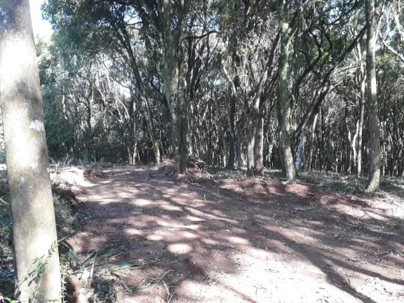 Imagem Chácara à venda em Campo Largo/PR