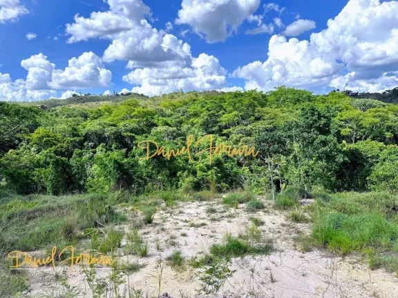 Imagem Excelente lote com fundo e vista livre para reserva