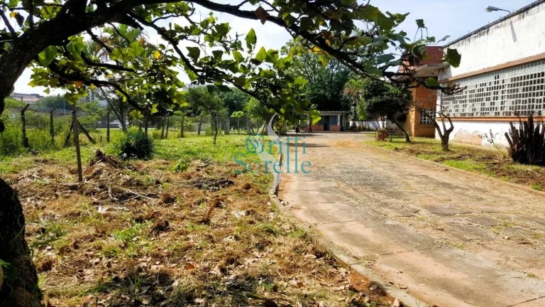 Imagem Terreno à Venda em Parque São Domingos - São Paulo/SP.