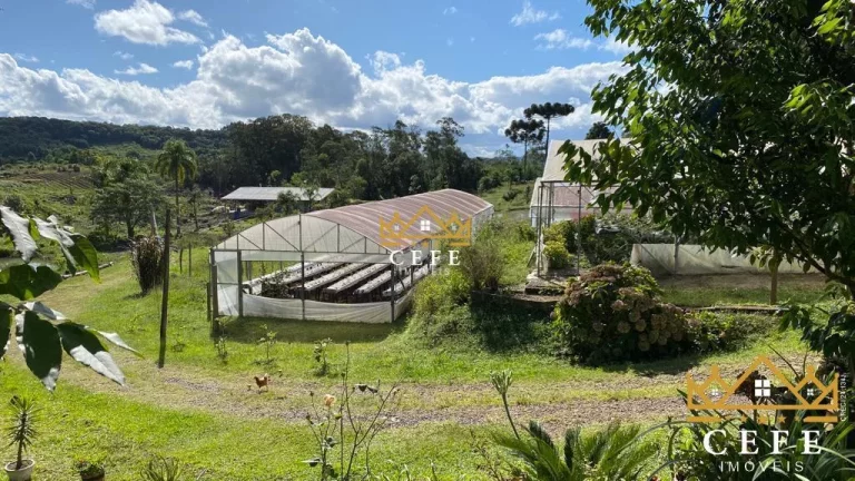 Imagem Chácara - Sítio com 1 Dormitorio(s) localizado(a) no bairro Padre Eterno Ilges em Santa Maria do Herval / RIO GRANDE DO SUL Ref.:1267
