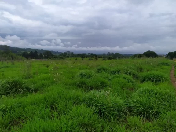 Imagem Área à venda, 20093 m² por R$ 1.900.000,00 - Jardim Alto da Boa Vista - Suzano/SP