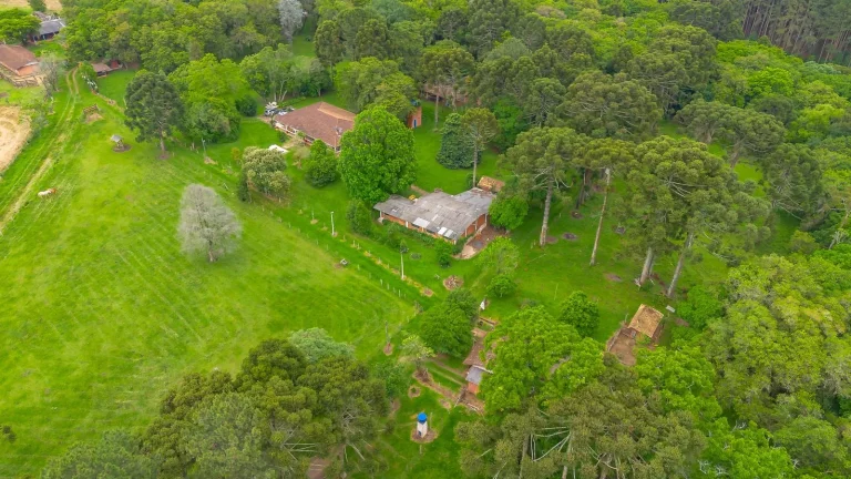 Imagem Sítio à venda na Lapa Paraná
