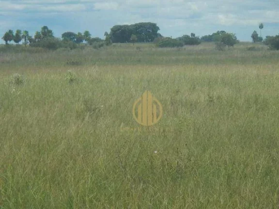 Imagem Fazenda no Pantanal