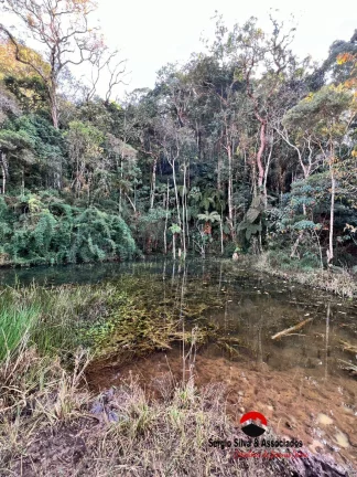 Imagem Área a Venda na Região entre Campos do Jordão e São Bento do Sapucaí-SP.