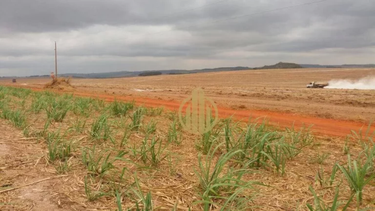 Imagem Fazenda rural à venda, Pecuária, Mineiros.