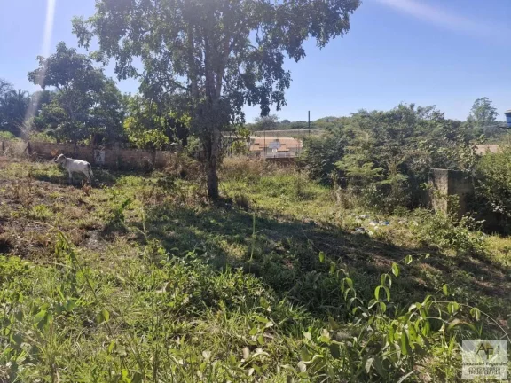 Imagem Lote para Venda em Aparecida de Goiânia, Rosa dos Ventos