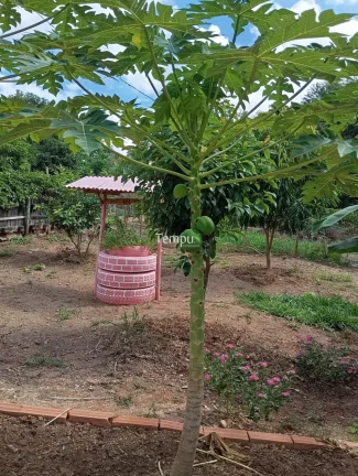 Imagem Chácara à venda - Cezarina/GO