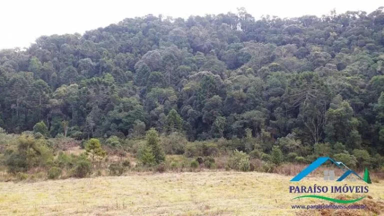 Imagem Paraíso Ecológico na Serra da Mantiqueira: Fazenda com 38,72 hectares!