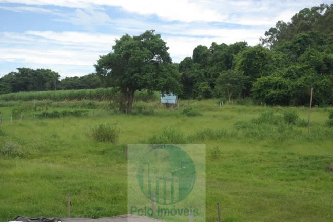 Imagem Fazenda 59 alqueires para soja, milho, gado em Cássia dos Coqueiros - SP . Temos autorização para venda.
