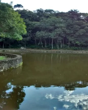 Imagem Área para Venda em Atibaia, Itapetinga