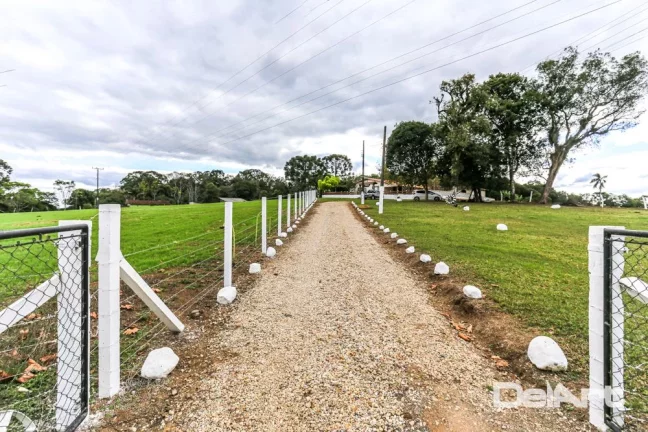Imagem Sitio maravilhoso com 10,51 hectares - a 200m do Mercado 4 irmãos - Fazendinha - c/ Escritura e Registro - Rio Negro.