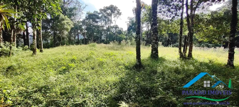 Imagem Terreno Exuberante no Bairro Campestre, Gonçalves – Serra da Mantiqueira