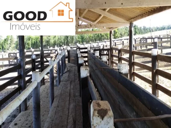 Imagem Fazenda RURAL em Silva Jardim - RJ, Silva Jardim
