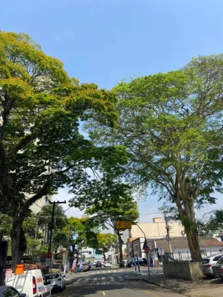 Imagem ???? Ótimo Salão para locação em Santo André, Bairro Jardim.