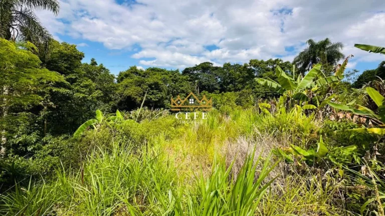 Imagem Chácara - Sítio com 1 Dormitorio(s) localizado(a) no bairro Serra Grande em Três Coroas / RIO GRANDE DO SUL Ref.:1596