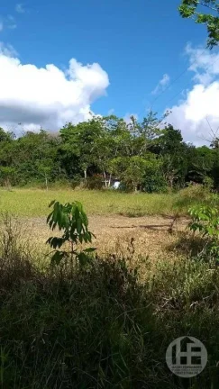 Imagem Chácara à venda com 8 hectares em Aldeia