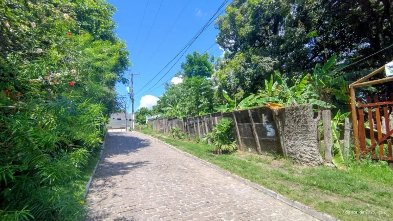 Imagem Terreno com 4500m² à venda no bairro Velha Boipeba, em Cairu-BA