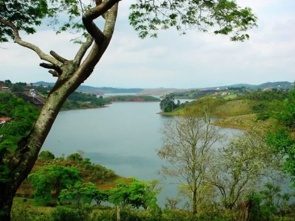 Imagem SÍTIO COM 3 DORMITÓRIOS À VENDA, 300000 M² POR R$ 3.300.000,00 - RIO ABAIXO - JACAREÍ/SP