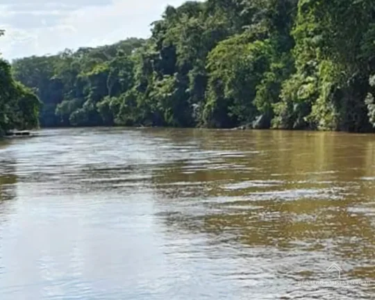 Imagem Chácara à venda a no Recanto dos Pintados às margens do Rio Aquidauana